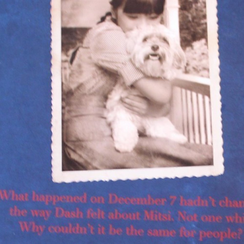 “Dash" & "Dork Diaries" books - Picture 5 of 10